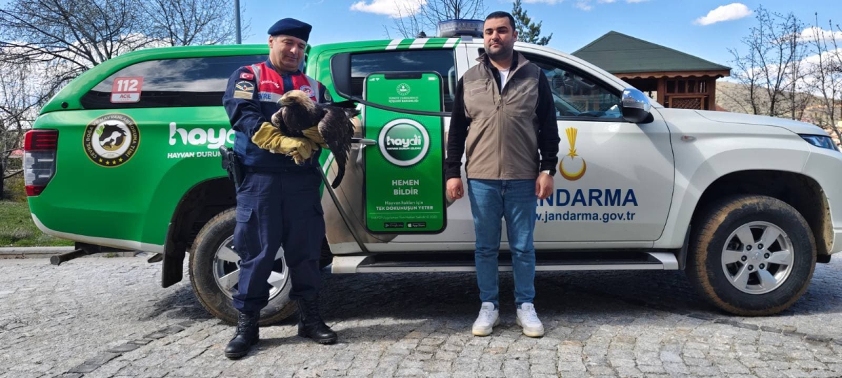 Jandarma yaralı buldu Tedavi edilecek