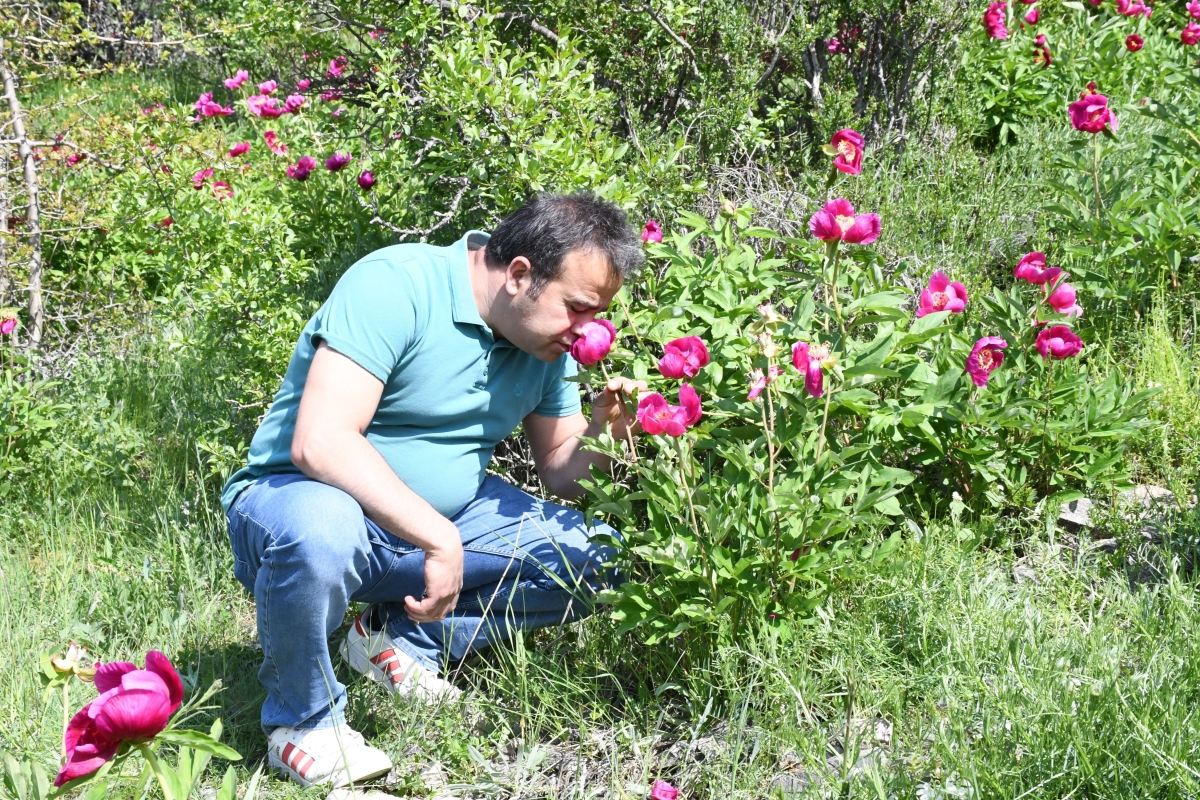 Yozgat'ta en kıymetlisi! Sadece 15 gün yaşıyor! 