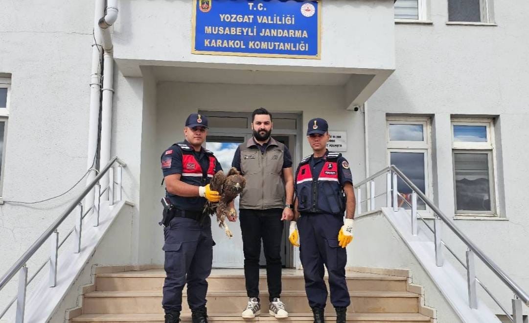 Jandarma yaralı buldu... Koruma altına alındı! 