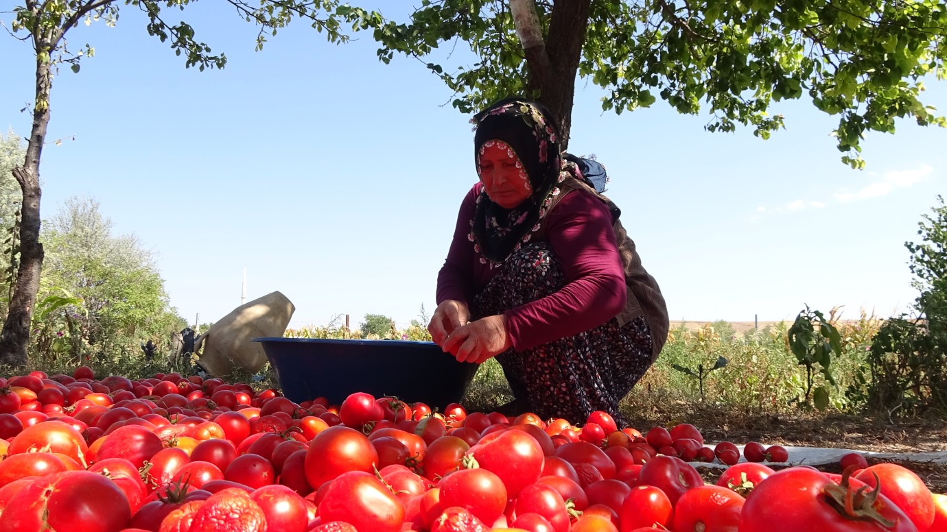 Yozgat'ta sofraların vazgeçilmezi.. 3 yıl dayanıyor! 