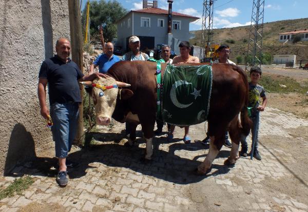 “Kurbanlık Alırken Nelere Dikkat Edilmeli?”