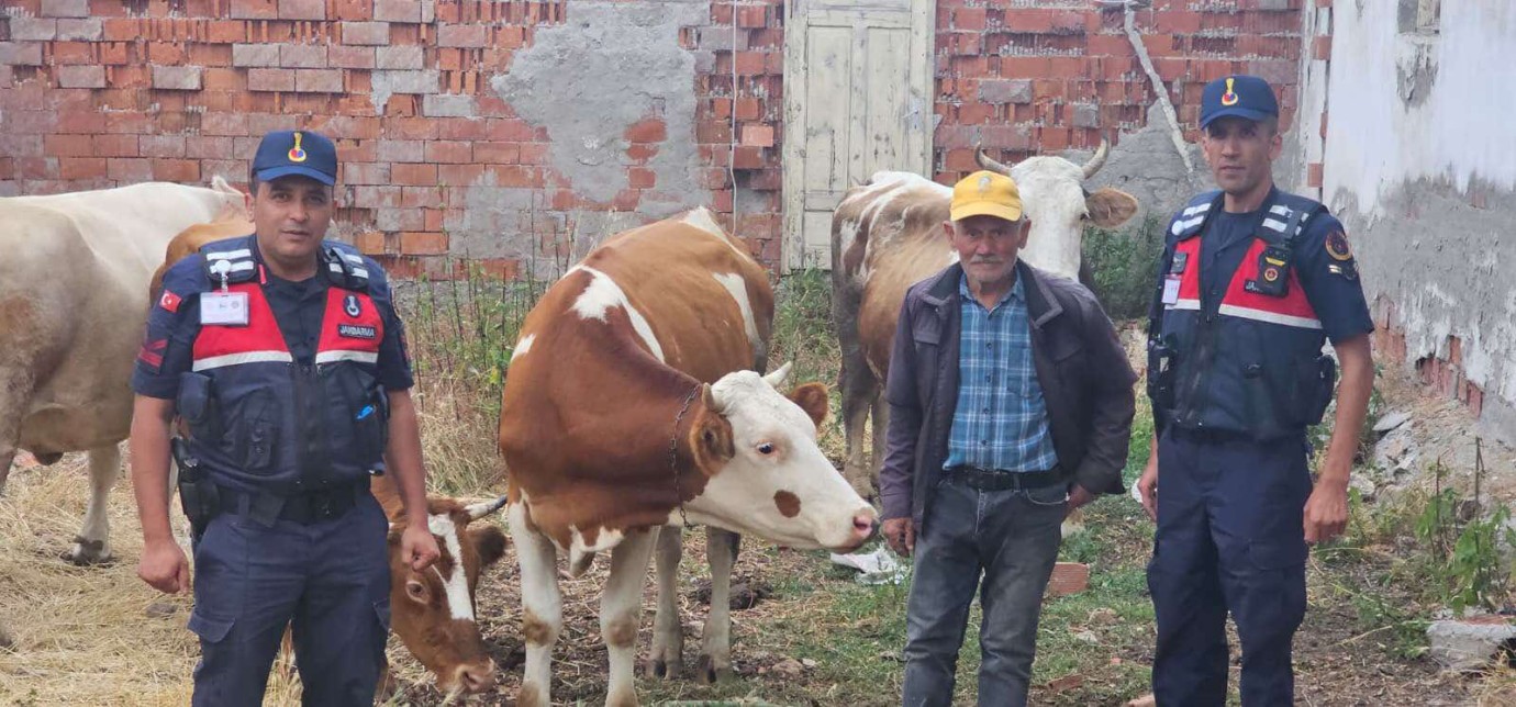 Kayıp hayvanlar sahibine teslim edildi