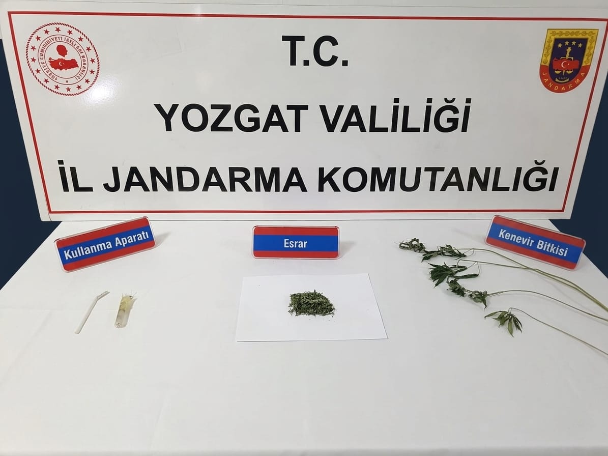Jandarmadan uyuşturucu operasyonu