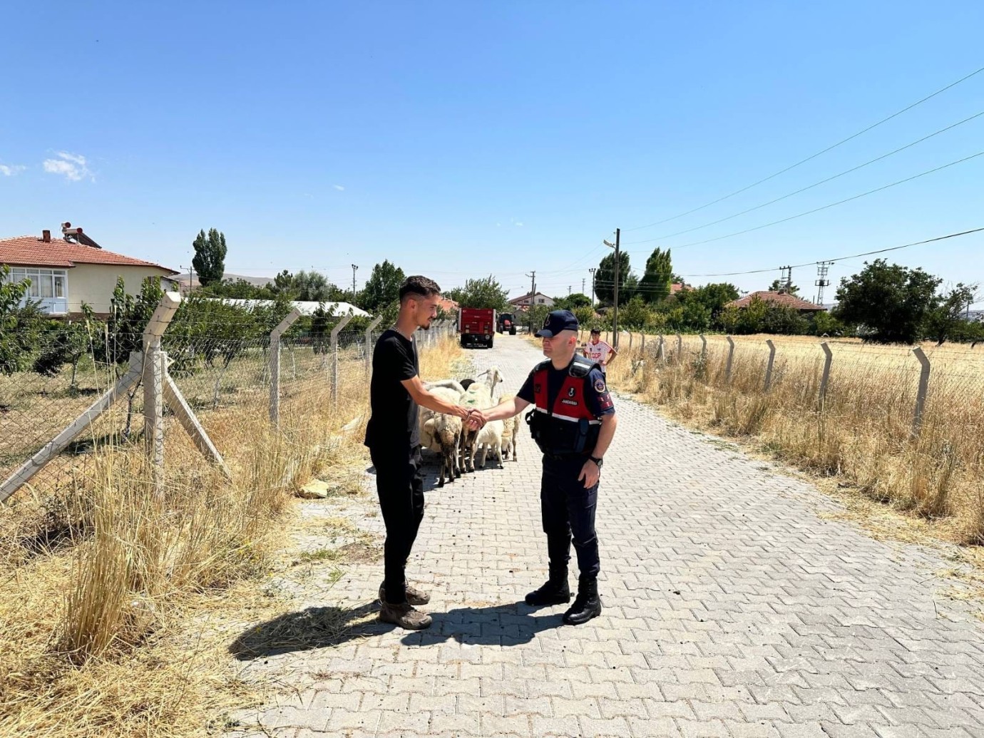 Kayıp hayvanlar kısa sürede bulundu