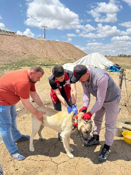 Cezası 108 bin lirayı aşıyor