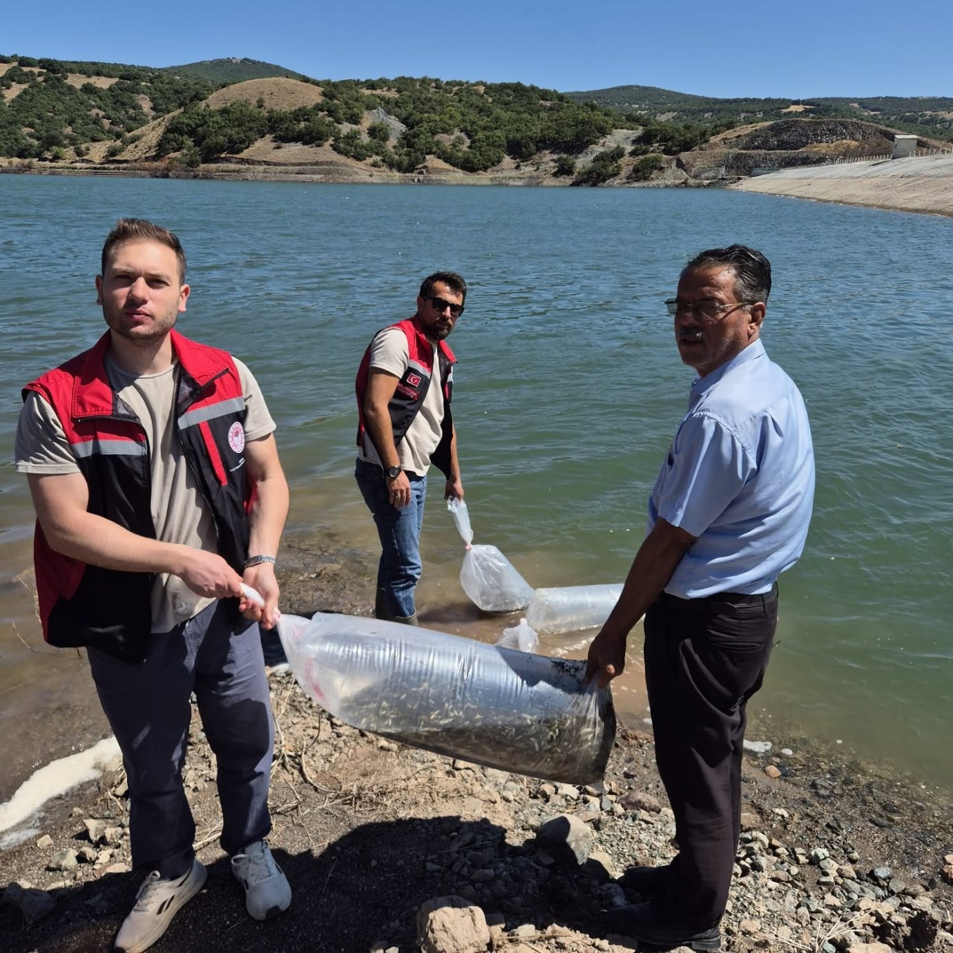 7 gölete 150 bin balık bırakıldı
