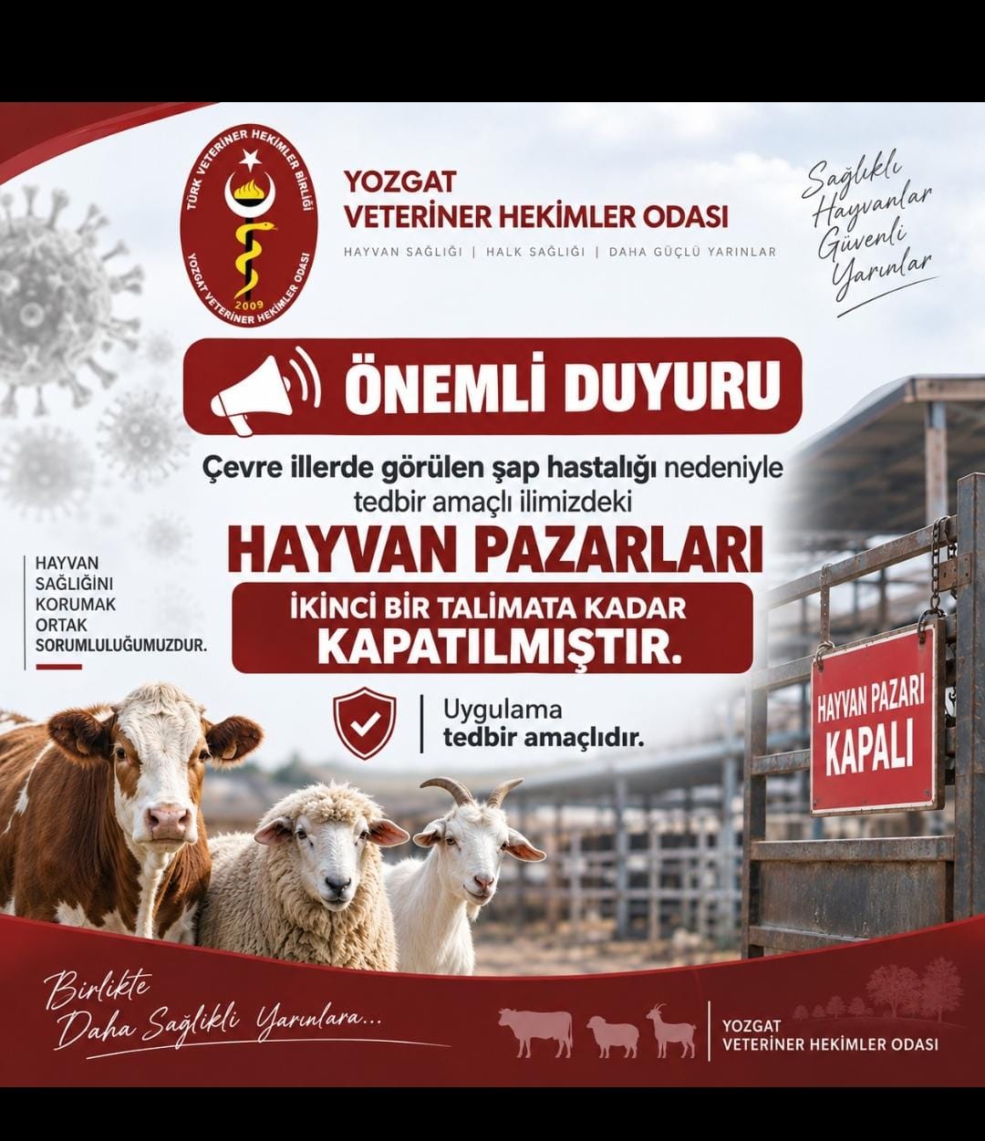 Şap hastalığına karşı hayvan pazarları kapatıldı
