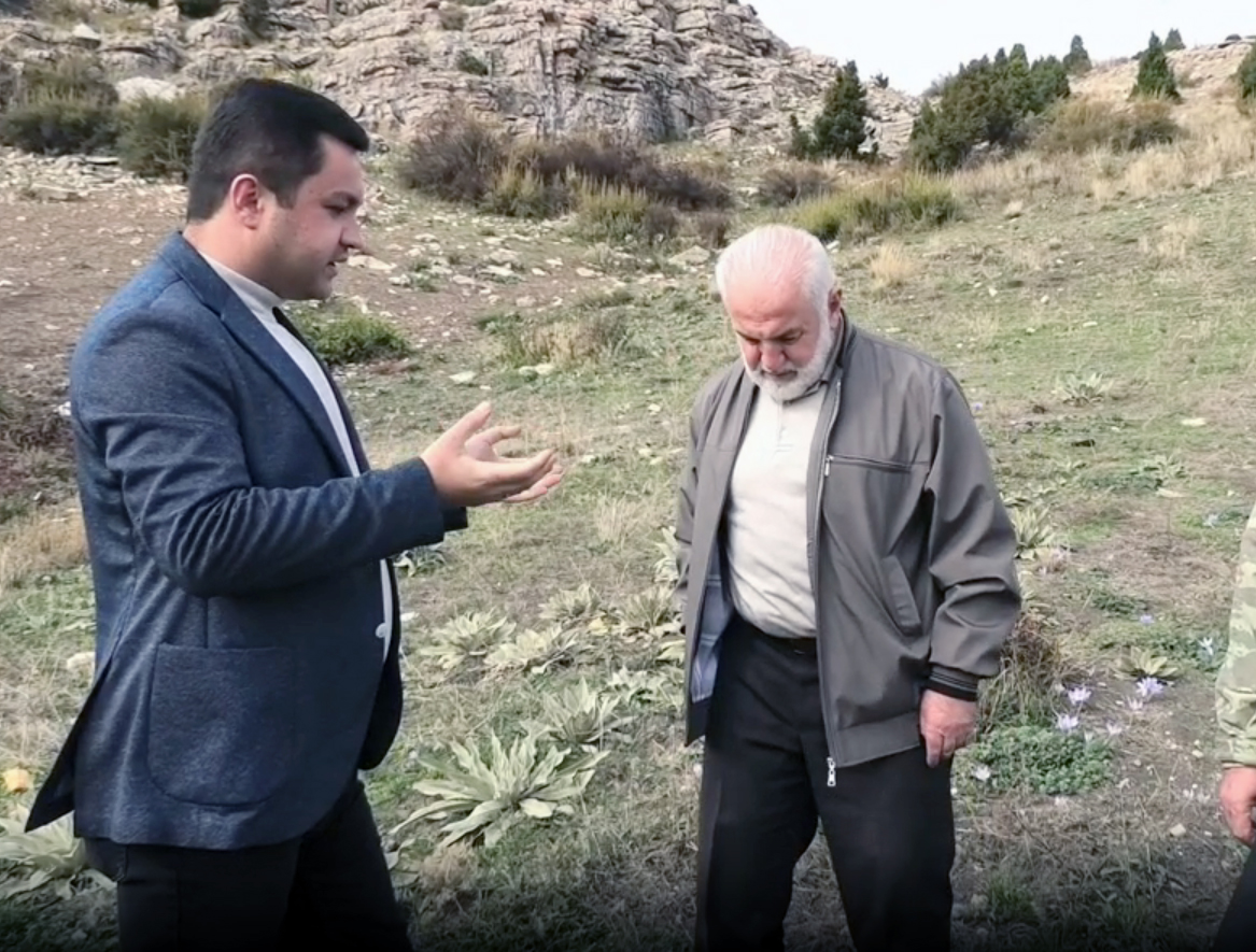 70 yılkı atı jandarmaya emanet