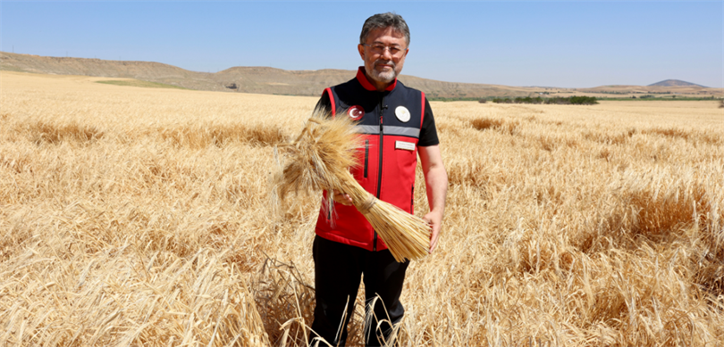 Hububat için 120 milyar lira ödeme yapıldı