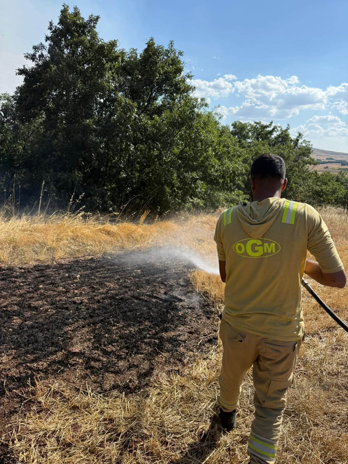 Anız yangını ormana sıçradı: Soruşturma başlatıldı