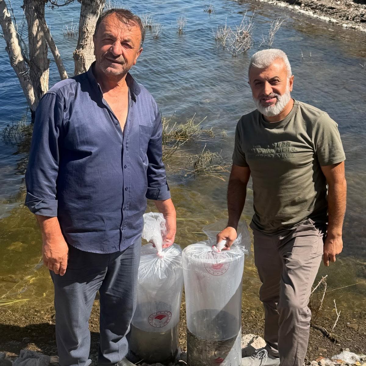 7 gölete 150 bin balık bırakıldı