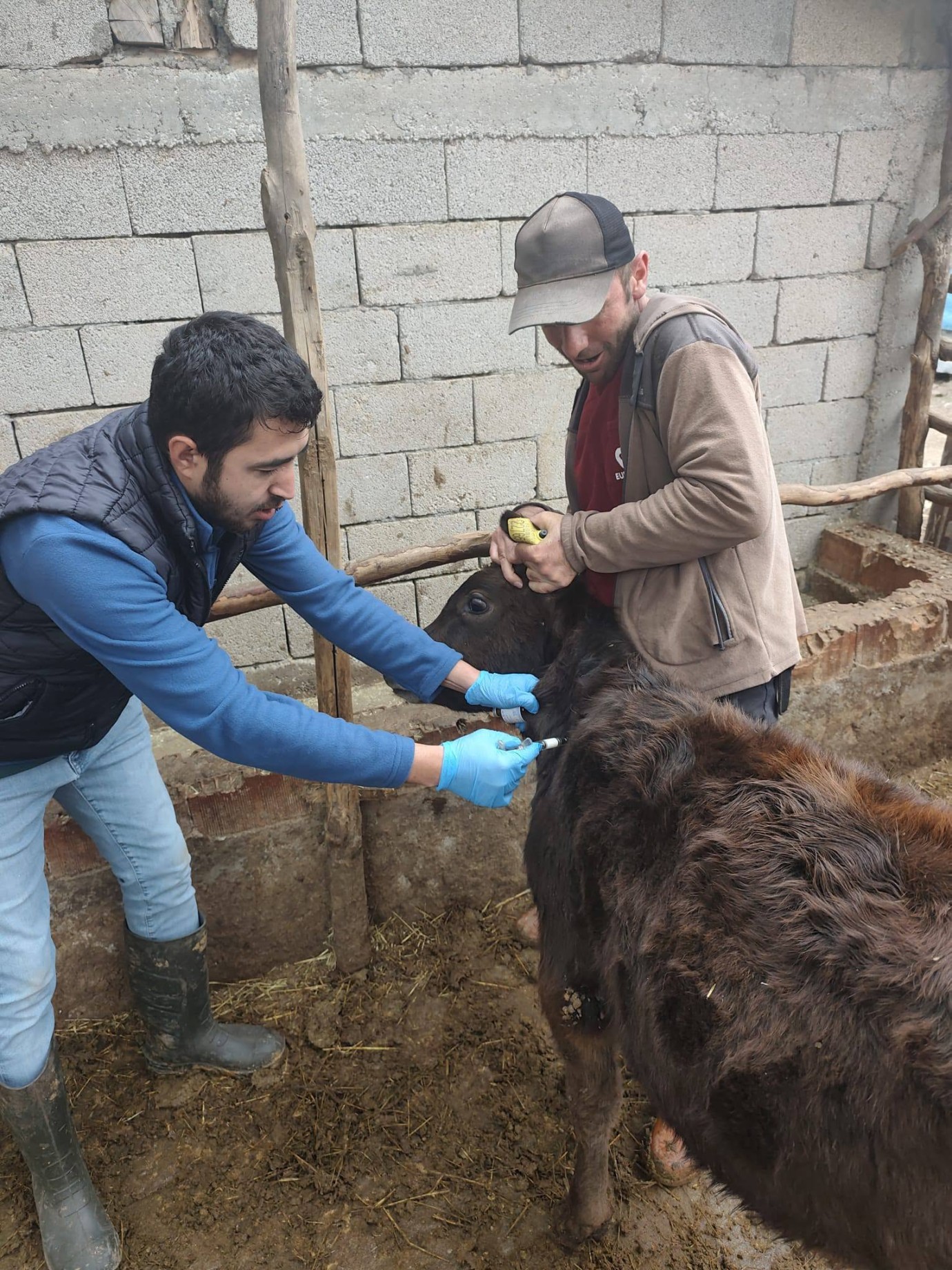 Hayvancılık işletmeleri kontrol edildi