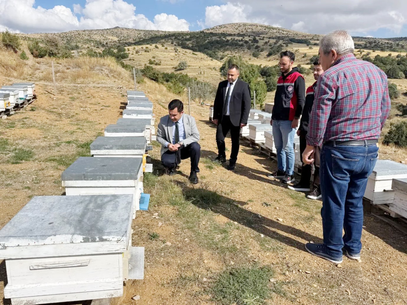 Çayıralan balı için sahaya indiler