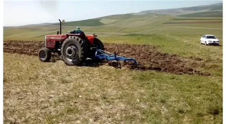Ekilmeyen tarlalar üretime kazandırılıyor