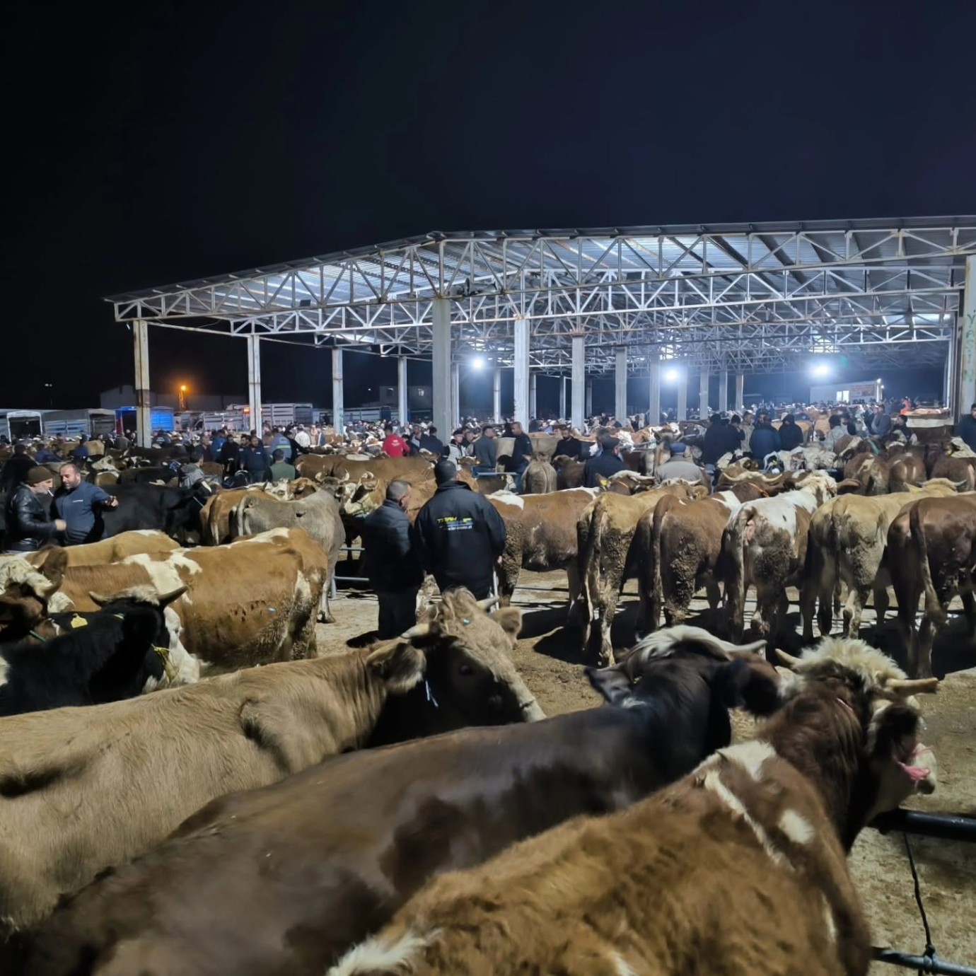 Sorgun hayvan pazarı hareketlendi