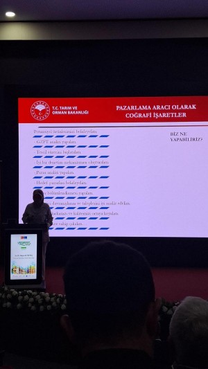 Sultani mercimek ilgi gördü